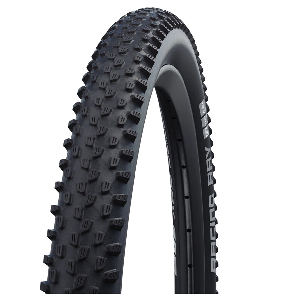 SCHWALBE Plášť RACING RAY PERFORMANCE