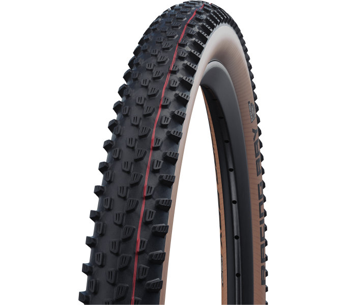 SCHWALBE Plášť RACING RAY Evolution