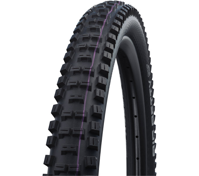 SCHWALBE Plášť BIG BETTY Super Down Hill