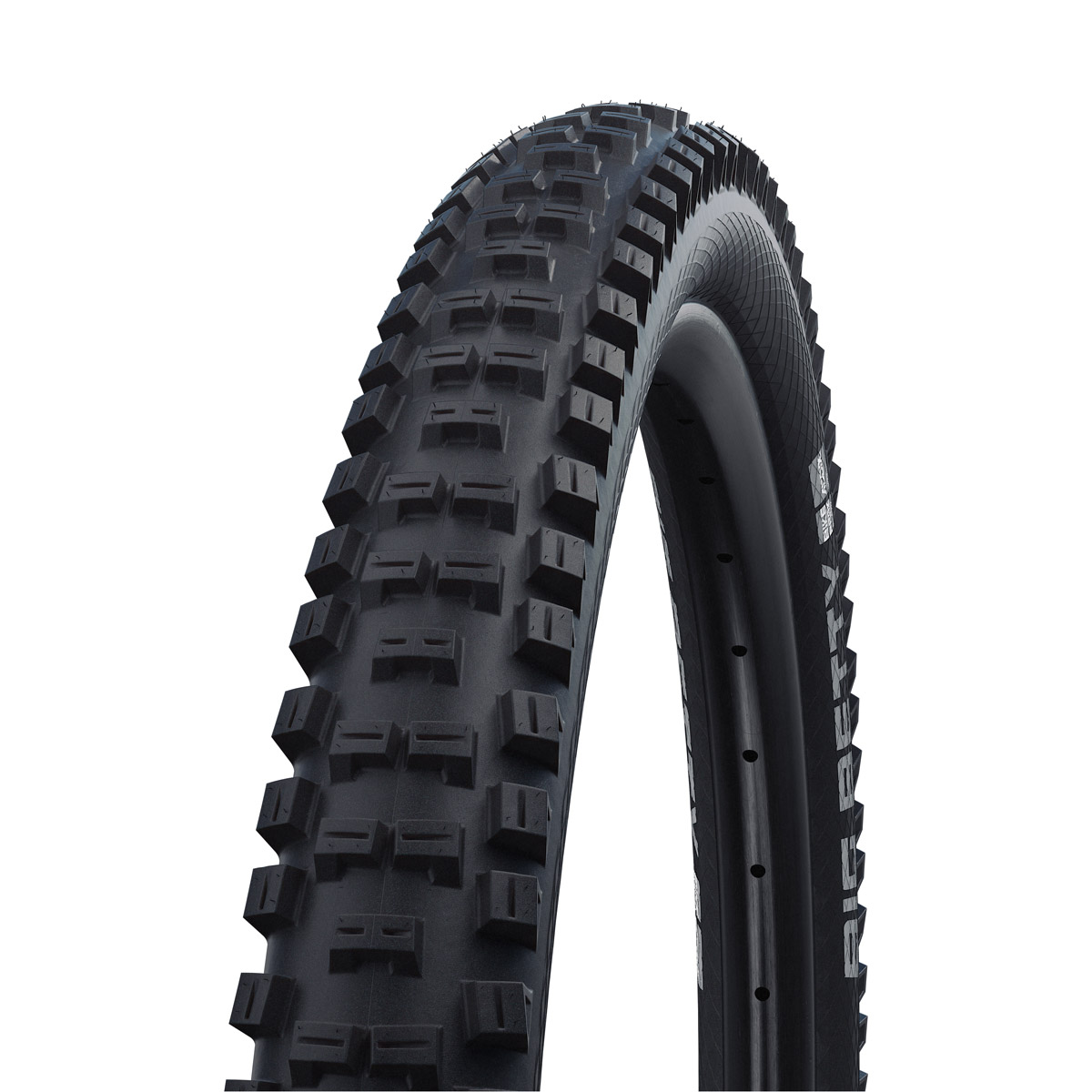 SCHWALBE Plášť MAGIC MARY BikePark Wired